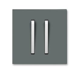 Neo® kryt spínače s dvěma páčkami 3559M-A00652 61 grafitová/ledová bílá ABB